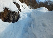 Salita pomeridiana al MONTE SUCHELLO (1541 m.) ben innevato da Costa Serina l 25 gennaio 2013  - FOTOGALLERY